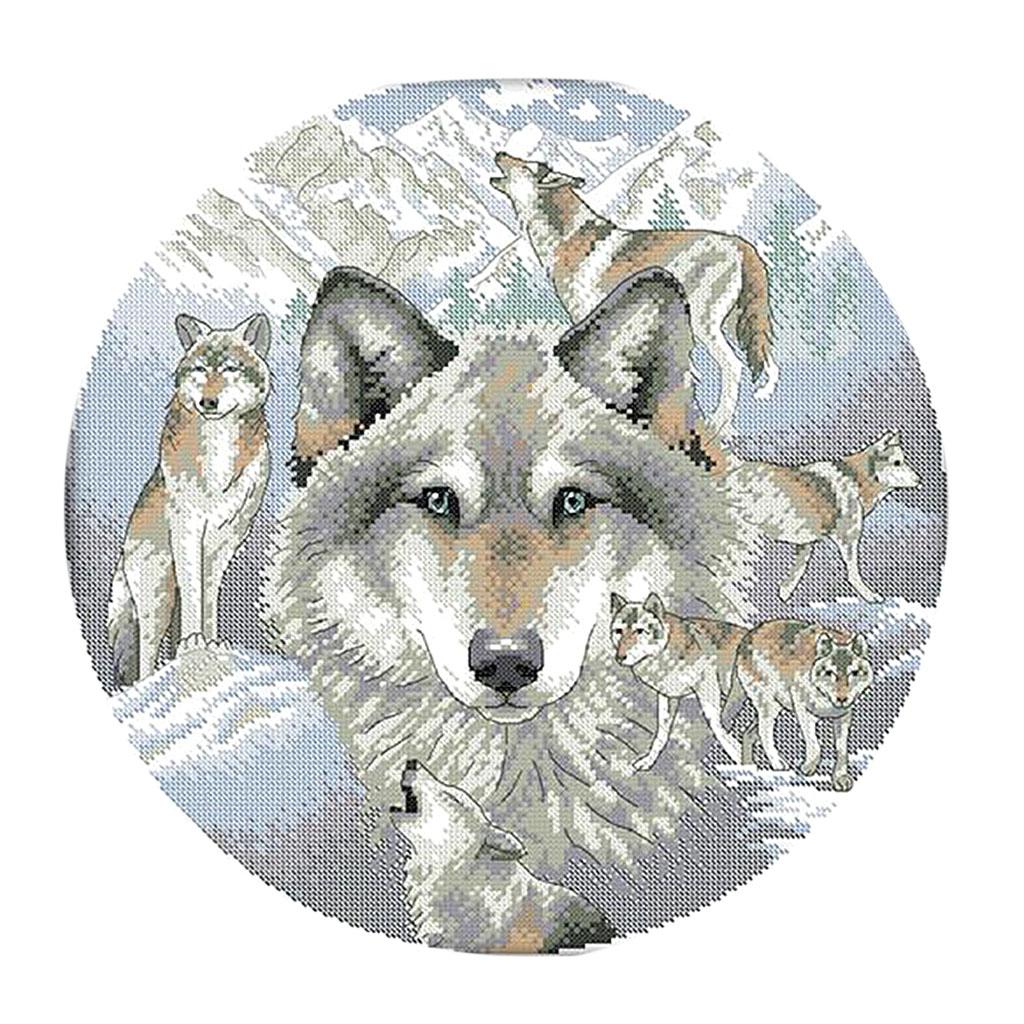 Kit per Ricamo a Punto Croce S - Cross Stitch Stamped Kits Beginners recensione e prezzo