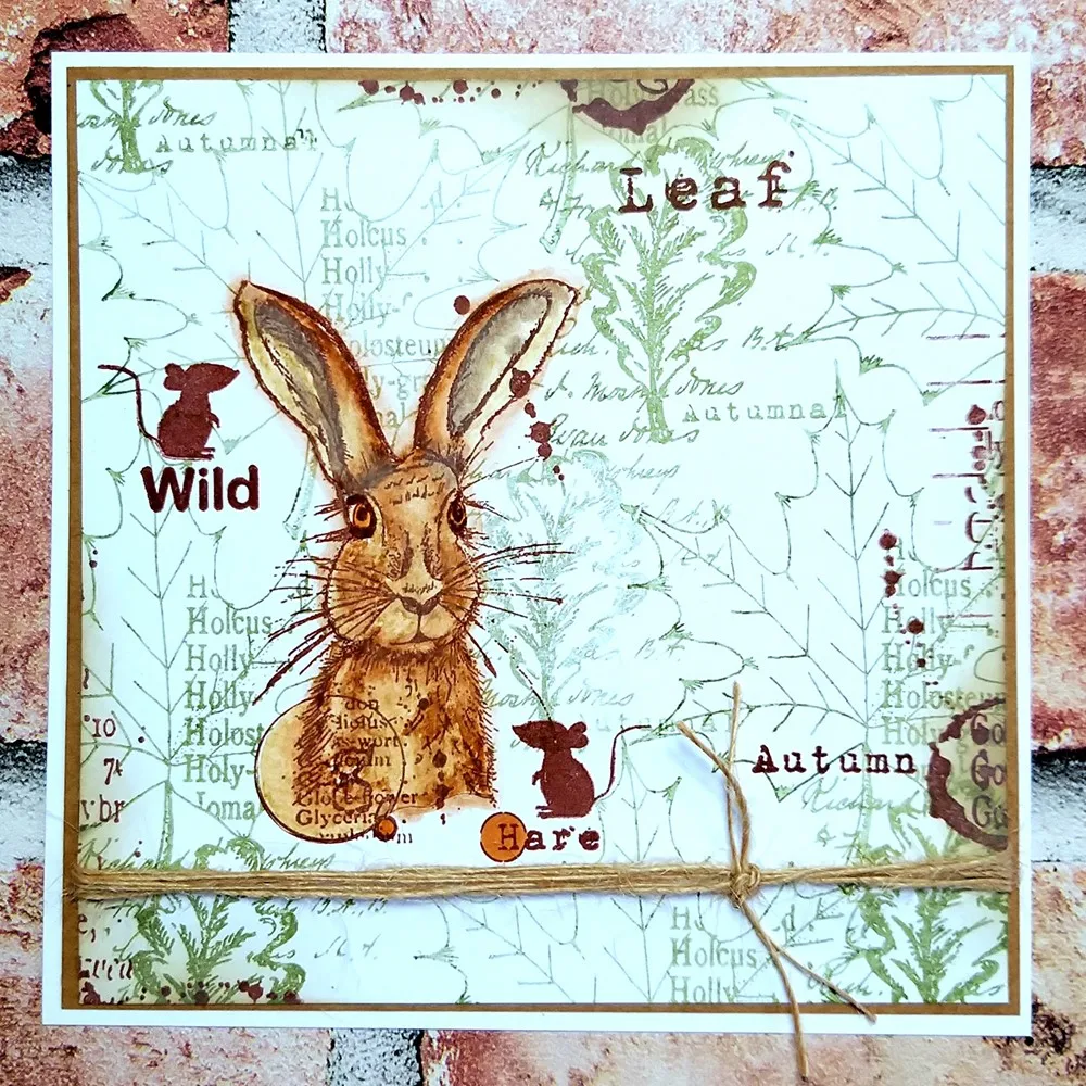timbri in silicone trasparente - Clear Silicone Stamps For Card Making recensione e prezzo
